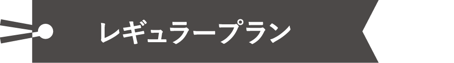 レギュラープラン